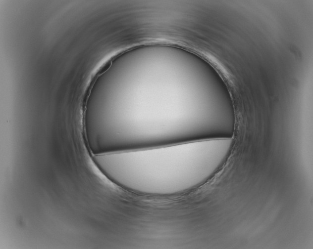 X0000111191476200907010959