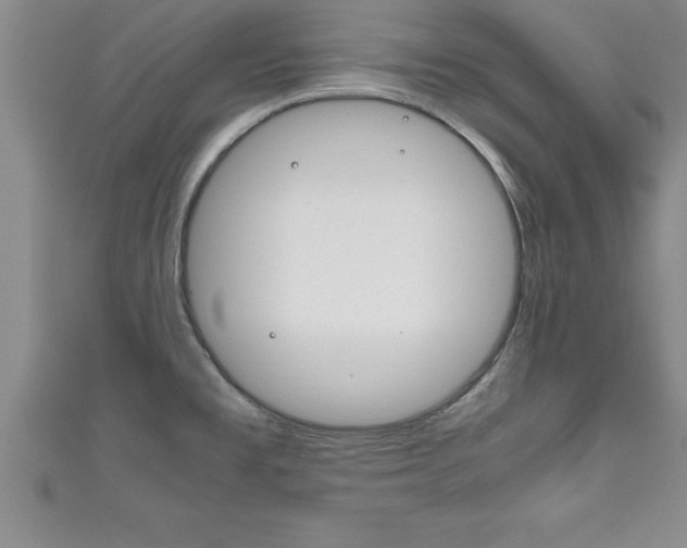 X0000111191477200907010959