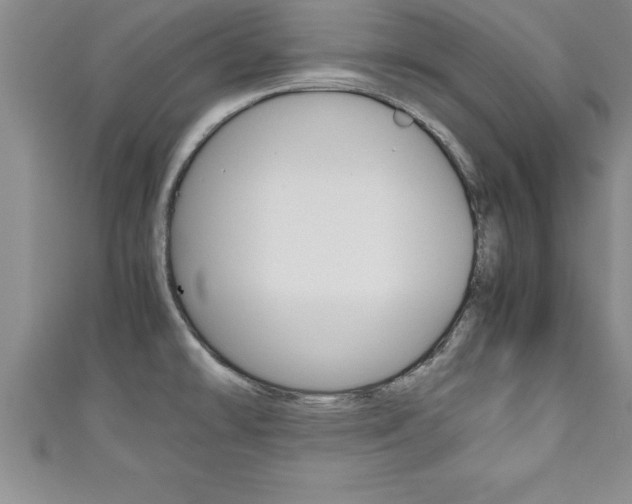 X0000111191478200907010959