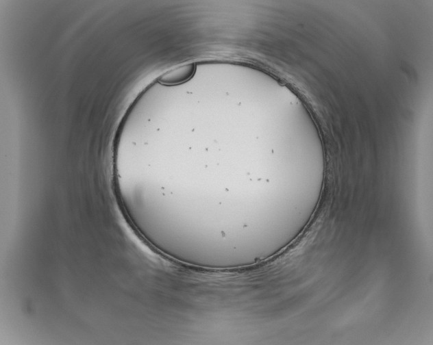 X0000111191479200907010959