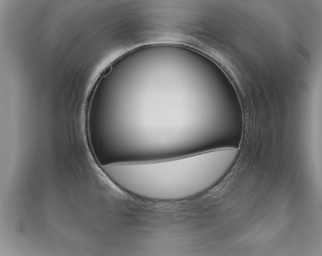 X0000111191480200907010959