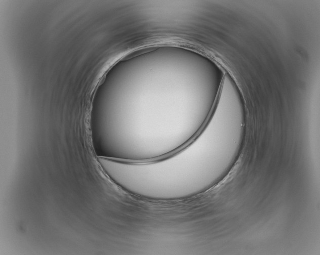 X0000111191481200907010959