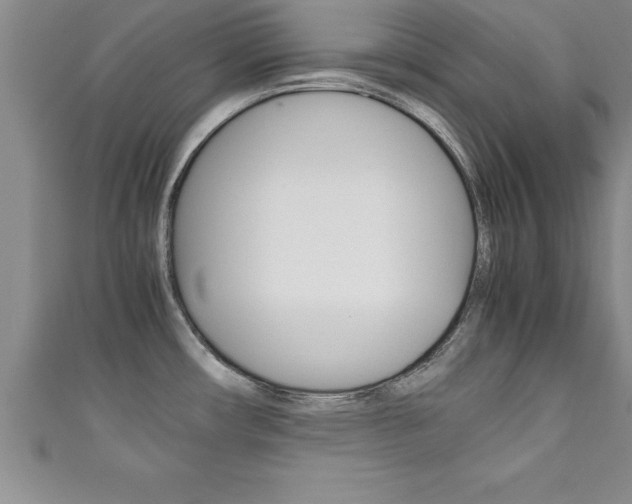 X0000111191482200907010959