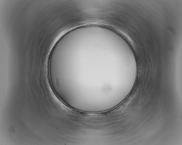 X0000111191483200907010959