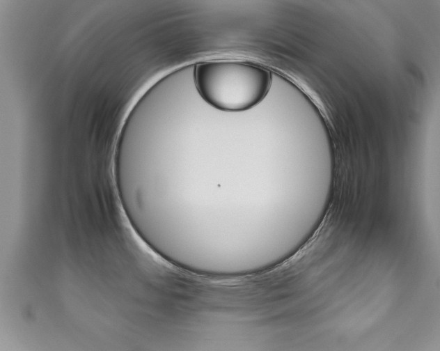 X0000111191484200907010959