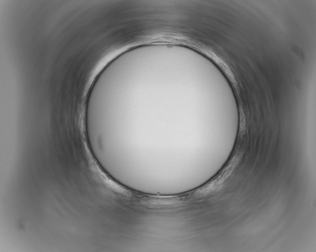 X0000111191486200907010958
