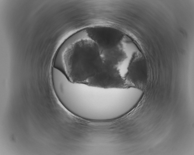 X0000111191487200907010958