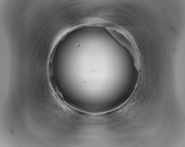X0000111191488200907010958