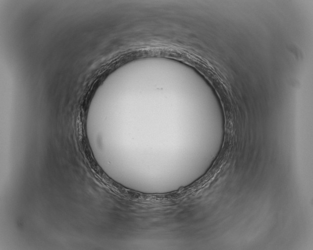 X0000111191493200907010958