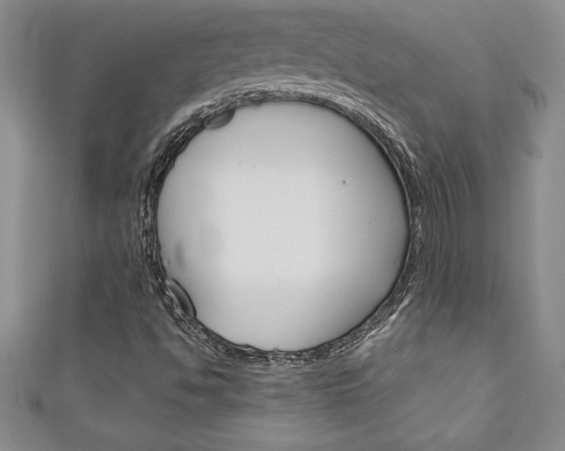 X0000111191494200907010958