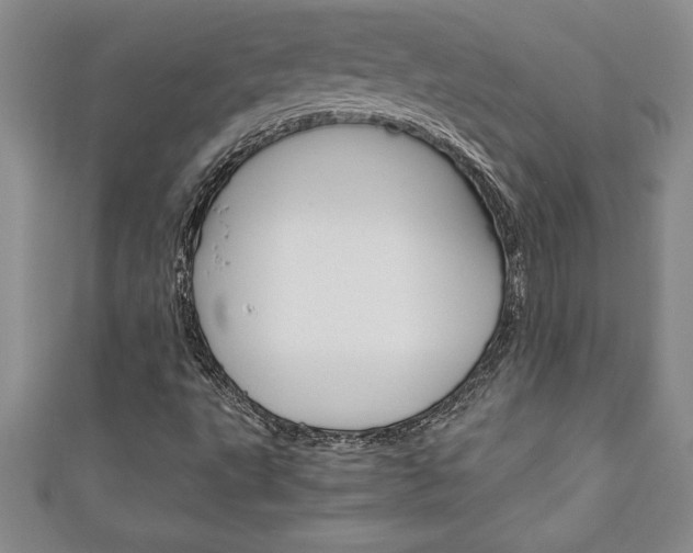 X0000111191495200907010958