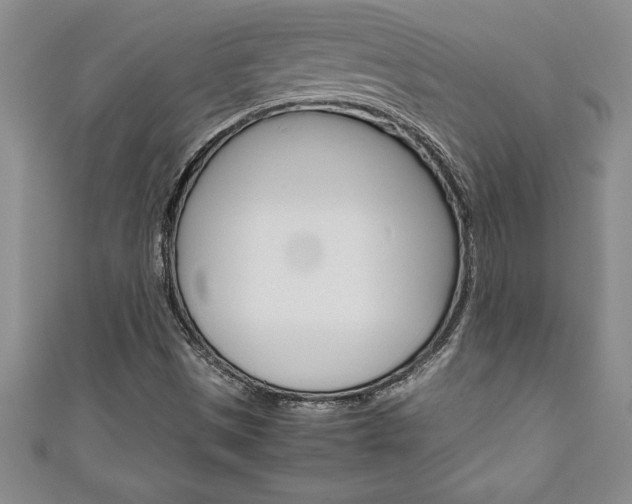 X0000111191497200907010958