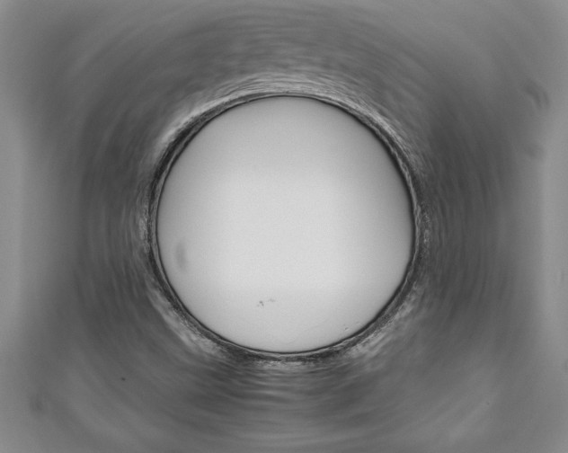 X0000111191499200907010958