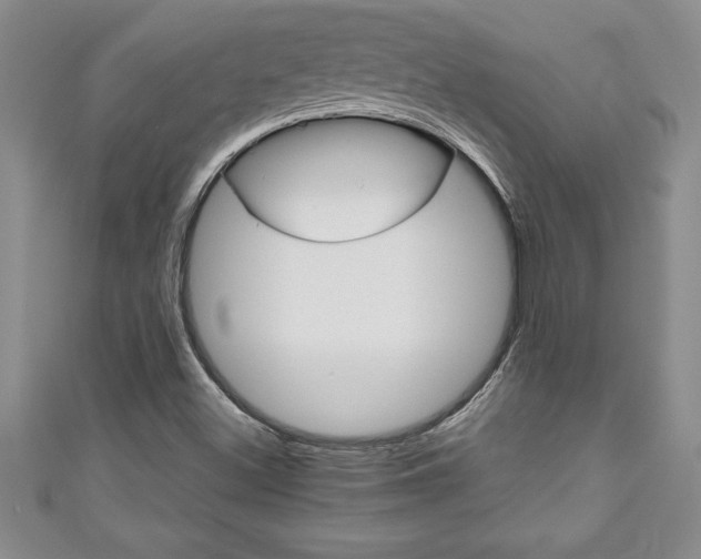 X0000111191500200907010958