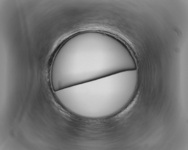 X0000111191501200907010958