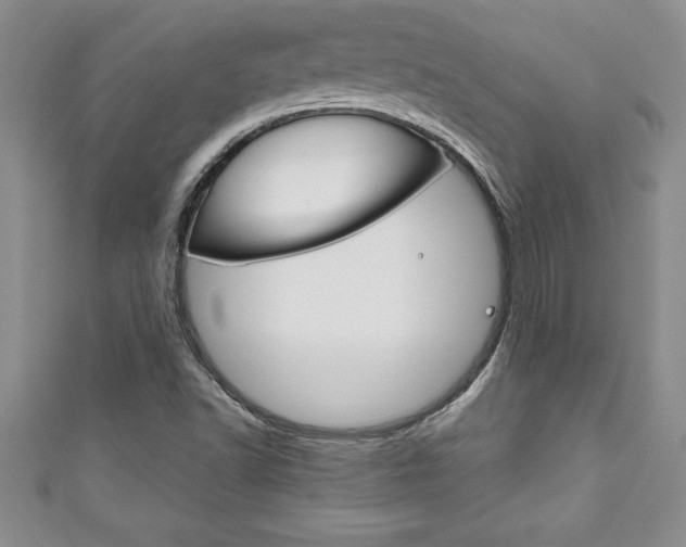 X0000111191502200907010958