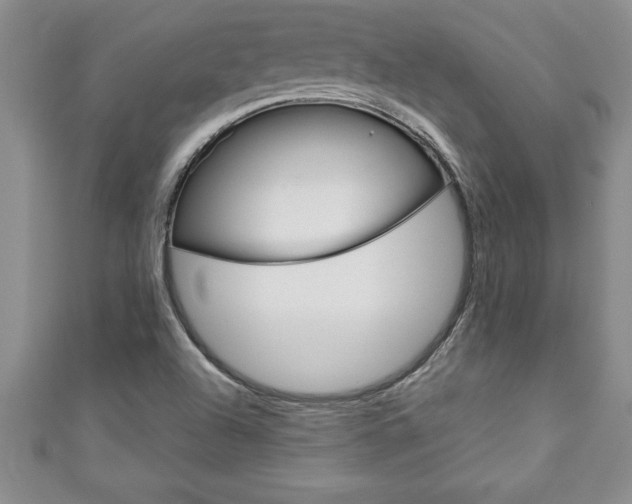 X0000111191504200907010958