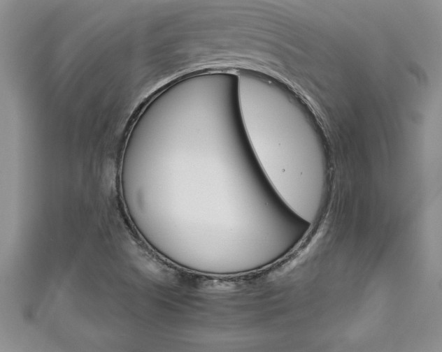 X0000111191505200907010958