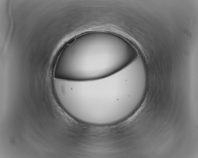 X0000111191506200907010958