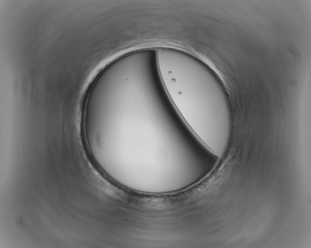 X0000111191508200907010958