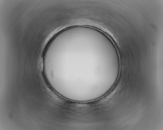 X0000111191509200907010958