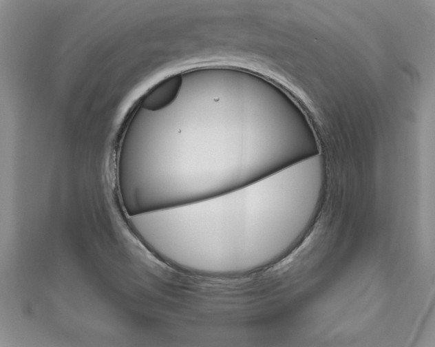 X0000111191510200907010958