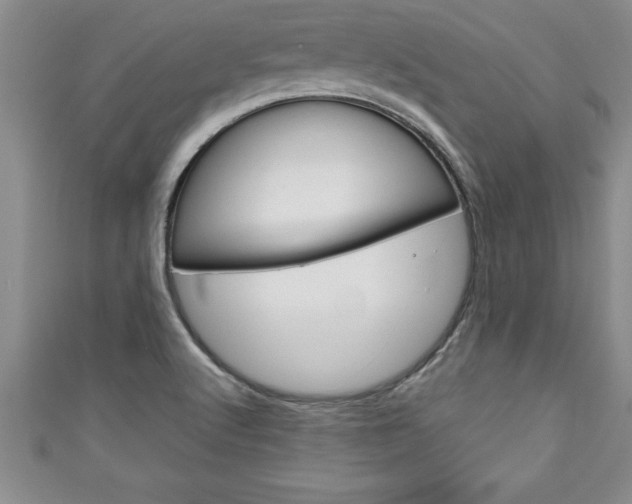 X0000111191512200907010958