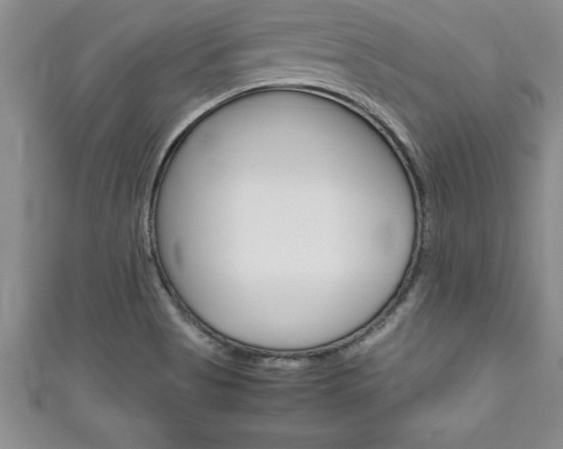 X0000111191513200907010958