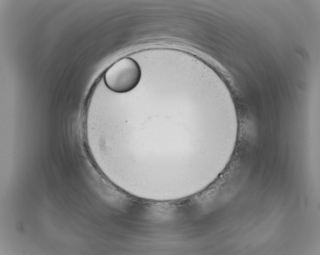 X0000111191514200907010958