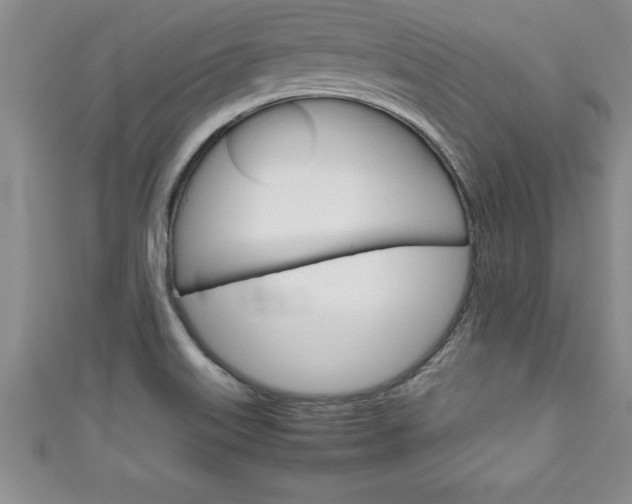 X0000111191515200907010958