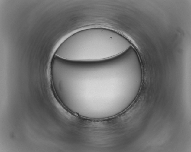 X0000111191516200907010958