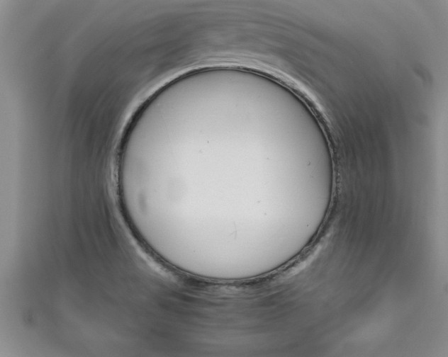 X0000111191517200907010958