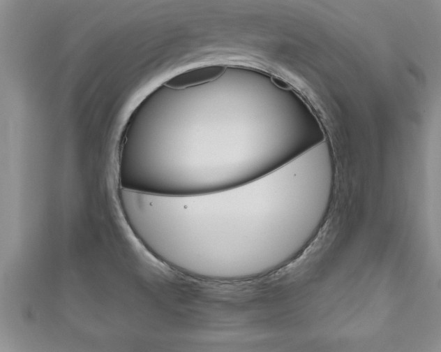 X0000111191520200907010958
