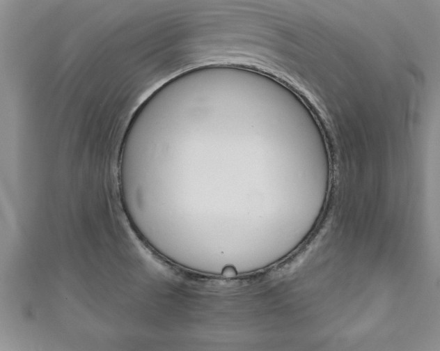 X0000111191521200907010958