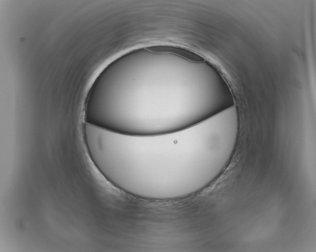 X0000111191524200907010958