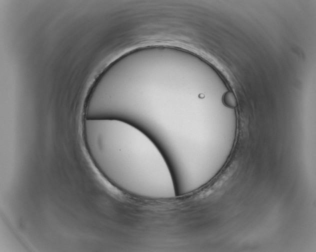 X0000111191525200907010958