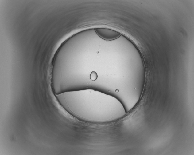 X0000111191526200907010958