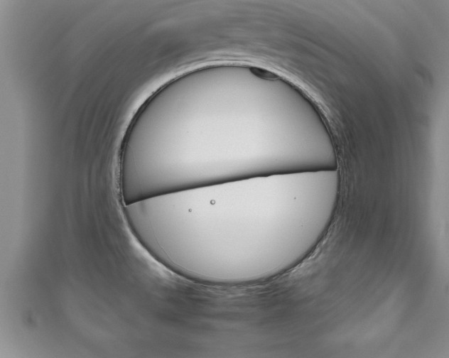 X0000111191527200907010958