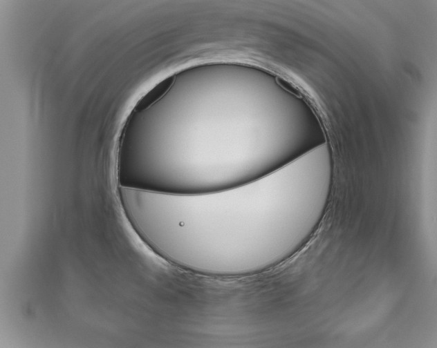 X0000111191528200907010958