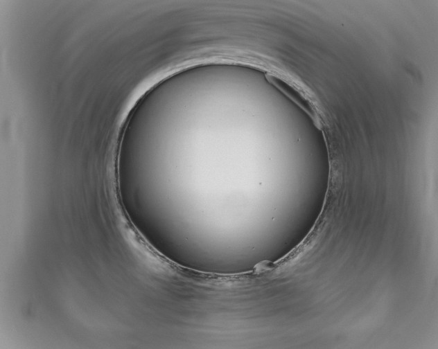 X0000111191530200907010958