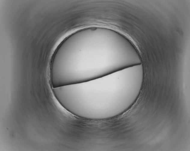 X0000111191531200907010958