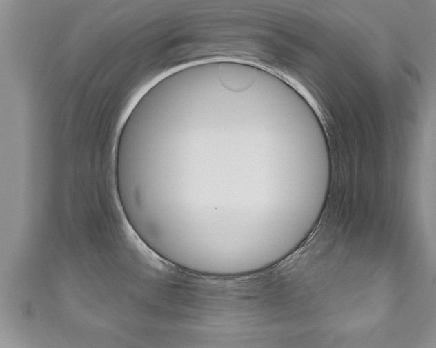 X0000111191532200907010958