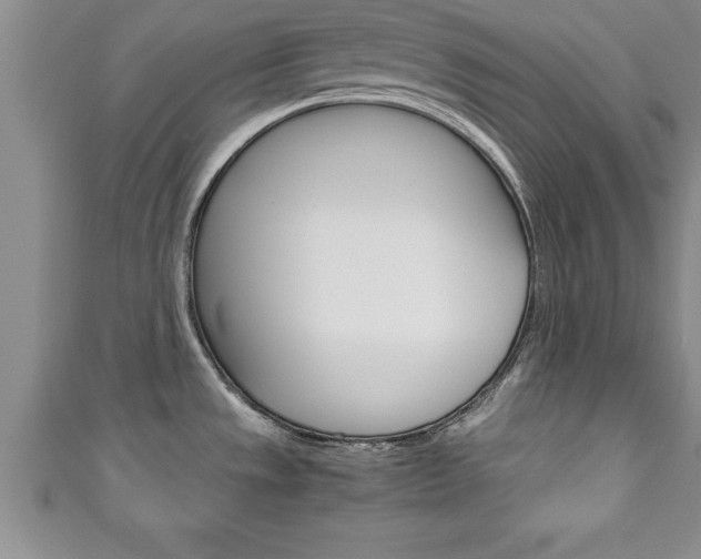 X0000111191533200907010958