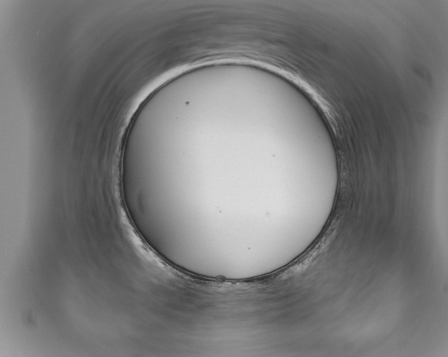 X0000111191534200907010958