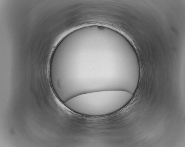 X0000111191535200907010958