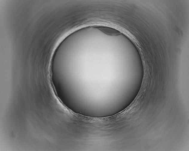 X0000111191536200907010958