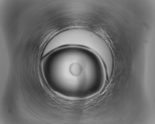 X0000111190001200907011421