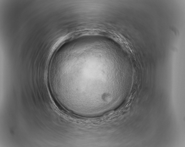 X0000111190003200907011421