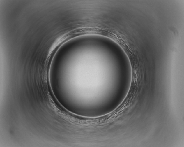 X0000111190004200907011421