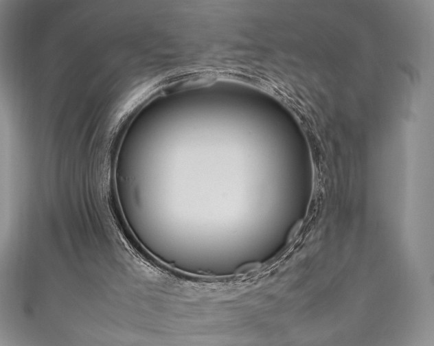 X0000111190005200907011421